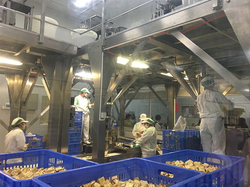 三里人家劲家庄之旅 探访国家AAA级旅游工厂，解锁游乐园式服务新体验